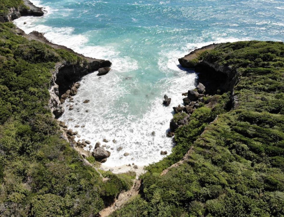 Estheria Villa Sainte-Anne (Grande-Terre)